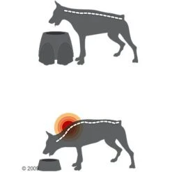 Comedero Alto Savic Ergo Feeder -Suministros Para Mascotas 125461 savic ergofeeder3 1