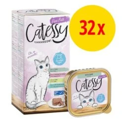 Catessy En Tarrinas 32 X 100 G - Pack Mixto