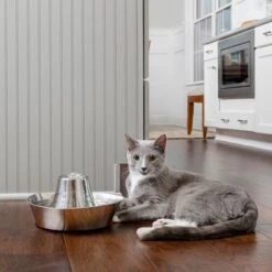 Bebedero Fuente Drinkwell Seaside De PetSafe De Acero -Suministros Para Mascotas 145896 radiosystems petsafe edelstahl trinkbrunnen kustenrauschen 1 8l hs 05 8