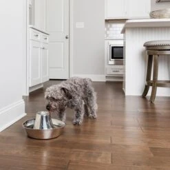 Bebedero Fuente Drinkwell Seaside De PetSafe De Acero -Suministros Para Mascotas 145896 radiosystems petsafe edelstahl trinkbrunnen kustenrauschen 1 8l hs 06 1