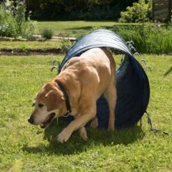 Túnel Agility Trixie -Suministros Para Mascotas 15686 trixie agility tunnel fg 23 7