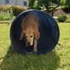 Túnel Agility Trixie -Suministros Para Mascotas 15686 trixie agility tunnel fg 28 8