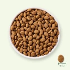 Yarrah Senior Pienso Ecológico Con Pollo Para Perros -Suministros Para Mascotas 158998 yarrah bio senior hundebrocken huhn 10kg hs 03 2