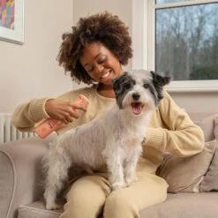 Pet Head Quick Fix Champú En Seco Para Perros -Suministros Para Mascotas 159702 companyofanimals pethead quickfixspray 300ml hs 05 3