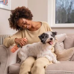 Pet Head Quick Fix Champú En Seco Para Perros -Suministros Para Mascotas 159702 companyofanimals pethead quickfixspray 300ml hs 06 2