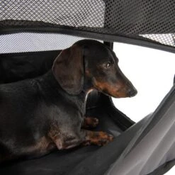 Caseta Plegable Fiona Para Mascotas -Suministros Para Mascotas 173100 faltbare hundekiste fiona fg 6338 4