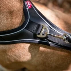 Arnés Curli Belka Comfort Negro Para Perros 20 Arnés Curli Belka Comfort Negro Para Perros -Suministros Para Mascotas 176034 curli belka comfort geschirr schwarz hs 10 7