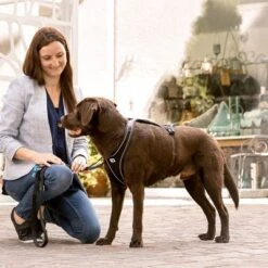 Arnés Curli Belka Comfort Negro Para Perros 24 Arnés Curli Belka Comfort Negro Para Perros -Suministros Para Mascotas 176034 curli belka comfort geschirr schwarz hs 11 2