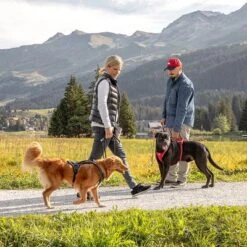 Arnés Curli Belka Comfort Negro Para Perros 16 Arnés Curli Belka Comfort Negro Para Perros -Suministros Para Mascotas 176034 curli belka comfort geschirr schwarz hs 12 7