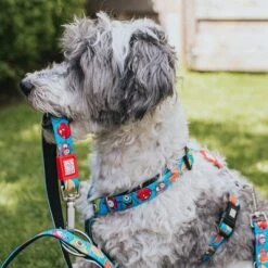 Arnés Max & Molly Little Monsters Para Perros -Suministros Para Mascotas 186583 186584 189797 maxnmolly hg eschirr littlemonsters hs 01 7