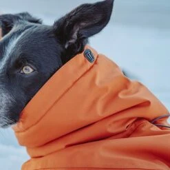 Abrigo Invernal Bare Sunrise Hurtta Para Perros -Suministros Para Mascotas 188296 188297 188298 188299 188300 188301 188302 hurtta forzooplus bare winterjacke sunrise hs 15 9