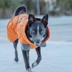 Abrigo Invernal Bare Sunrise Hurtta Para Perros -Suministros Para Mascotas 188296 188297 188298 188299 188300 188301 188302 hurtta forzooplus bare winterjacke sunrise hs 16 1