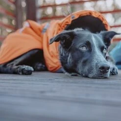 Abrigo Invernal Bare Sunrise Hurtta Para Perros -Suministros Para Mascotas 188296 188297 188298 188299 188300 188301 188302 hurtta forzooplus bare winterjacke sunrise hs 18 3