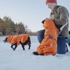 Abrigo Invernal Bare Sunrise Hurtta Para Perros -Suministros Para Mascotas 188296 188297 188298 188299 188300 188301 188302 hurtta forzooplus bare winterjacke sunrise hs 23 1