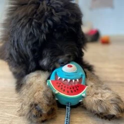 Max & Molly Bubba King Juguete De Látex Para Perros 10 Max & Molly Bubba King Juguete De Látex Para Perros -Suministros Para Mascotas 191100 maxn molly kuscheltier spielzeug bubba king hs 04 5