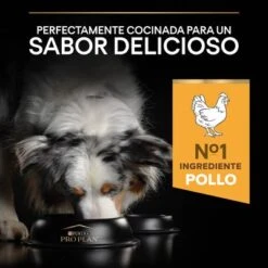 PURINA PRO PLAN Medium & Large Adult 7+ Age Defence -Suministros Para Mascotas 1 44152668 es es 221230 1 5