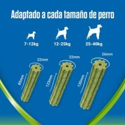 PURINA Dentalife Active Fresh Snacks Dentales Para Perros Medianos 17 PURINA Dentalife Active Fresh Snacks Dentales Para Perros Medianos -Suministros Para Mascotas 1 all size copy 1