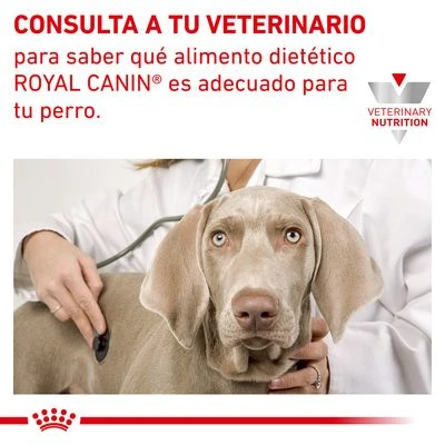 Royal Canin Veterinary Canine Hypoallergenic Small Dog Pienso Para Perros - Imagen 8