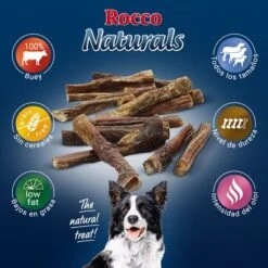 PROMO: 100 Uds. X Rocco Nervio De Buey 12 Cm -Suministros Para Mascotas 2019 09 rocco naturals pizzle 1000x1000 es 7