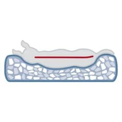 Cama Ortopédica Trixie Vital Noah Para Perros -Suministros Para Mascotas 209073 209074 trixie vital bett noah hs 04 4