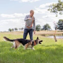 Trixie Caña Estimulante Juguete De Adiestramiento Para Perros -Suministros Para Mascotas 209093 trixie reizangel hs 05 8