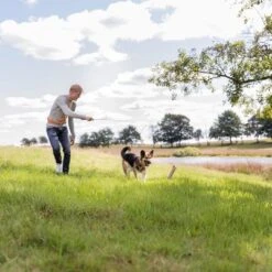 Trixie Caña Estimulante Juguete De Adiestramiento Para Perros -Suministros Para Mascotas 209093 trixie reizangel hs 06 8