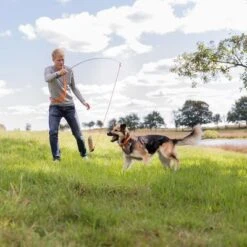 Trixie Caña Estimulante Juguete De Adiestramiento Para Perros -Suministros Para Mascotas 209093 trixie reizangel hs 07 5