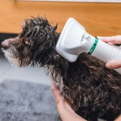 Cepillo Trixie De Aire Caliente -Suministros Para Mascotas 212217 trixie warmluftbuerste 300w hs 19 8