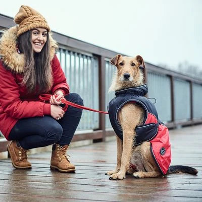 Abrigo HUNTER Uppsala Cozy Para Perros - Imagen 8