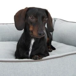 Cama Skara Modern Living Para Perros -Suministros Para Mascotas 218996 hundebett skara fg 8751 2