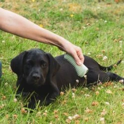 Pet Teezer Cepillo Para Cachorros -Suministros Para Mascotas 230724 pet teezer welpenbuerste hs 17 0