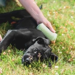 Pet Teezer Cepillo Para Cachorros -Suministros Para Mascotas 230724 pet teezer welpenbuerste hs 19 6