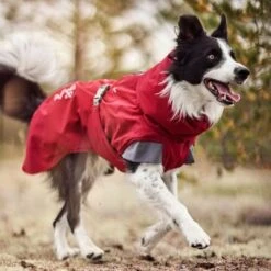 Abrigo Invernal Bare Late Harvest Hurtta Para Perros -Suministros Para Mascotas 247996 247997 247998 247999 248000 248096 248097 hurtta bare winterjacke late harvest hs 05 5