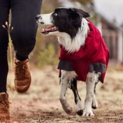 Abrigo Invernal Bare Late Harvest Hurtta Para Perros -Suministros Para Mascotas 247996 247997 247998 247999 248000 248096 248097 hurtta bare winterjacke late harvest hs 06 3