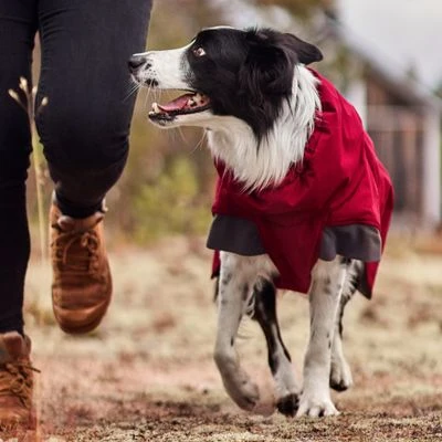 Abrigo Invernal Bare Late Harvest Hurtta Para Perros - Imagen 5