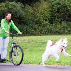 Correa De Bolsillo Curli Ultrarresistente -Suministros Para Mascotas 267896 267897 ultrastarke taschenleine hs 07 2