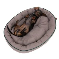 Cama Antibacteriana London Modern Living Para Perros -Suministros Para Mascotas 274563 hundebett london fg 2761 6