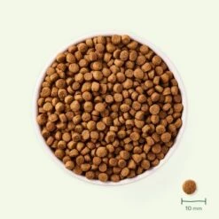 Yarrah Pienso Ecológico Para Perros Pequeños -Suministros Para Mascotas 274797 159097 yarrah organic smallbreed chicken hs 03 9