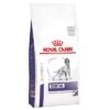 Royal Canin Expert Canine Dental Pienso Para Perros 1 Royal Canin Expert Canine Dental Pienso Para Perros -Suministros Para Mascotas 284805 pla royalcanin veterinary canine dental kg hs 01 5
