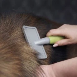 Carda Grande Moser Para Mascotas -Suministros Para Mascotas 289696 moser grosse zupfbuerste hs 02 6