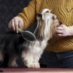 Cepillo De Doble Cara Moser Para Mascotas -Suministros Para Mascotas 289796 moser beidseitige fellpflegebuerste hs 02 1