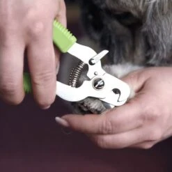 Cortaúñas Moser Para Mascotas -Suministros Para Mascotas 289896 moser krallenzange hs 02 8