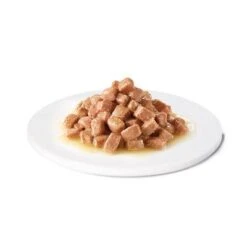 Advance Recovery Veterinary Diets Comida Húmeda Para Perros Y Gatos -Suministros Para Mascotas 309899 affinityspain advance veterinarydiets dogrecovery hs 04 1