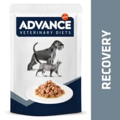 Advance Recovery Veterinary Diets Comida Húmeda Para Perros Y Gatos -Suministros Para Mascotas 309899 affinityspain advance veterinarydiets dogrecovery hs 05 0