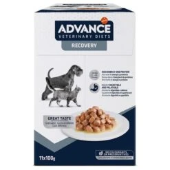 Advance Recovery Veterinary Diets Comida Húmeda Para Perros Y Gatos -Suministros Para Mascotas 309899 pla affinityspain advance veterinarydiets dogrecovery hs 01 5