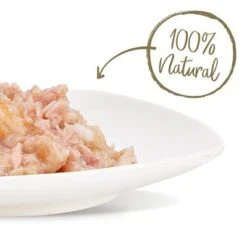 Applaws Selection 12 X 70g 23 Applaws Selection 12 X 70g -Suministros Para Mascotas 31588 thunfisch pazifik garnelen hs 03 5