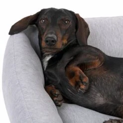 Cama Modern Living Sydney Para Perros -Suministros Para Mascotas 317997 modern living sydney fg 2771 3