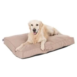 Colchón TIAKI Memory Foam Beige Para Perros -Suministros Para Mascotas 318698 mit hund fg 5093 8