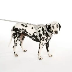 Arnés TIAKI Neoprene Gris Para Perros 27 Arnés TIAKI Neoprene Gris Para Perros -Suministros Para Mascotas 323033 neoprene geschirr l fg 0470 9