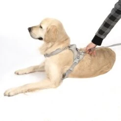 Arnés TIAKI Neoprene Gris Para Perros 20 Arnés TIAKI Neoprene Gris Para Perros -Suministros Para Mascotas 323033 neoprene geschirr l fg 1703 5